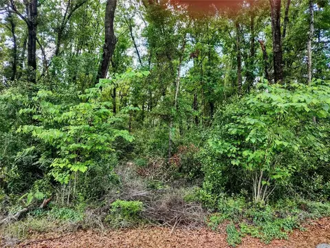 tbd NE 155th Ct, Williston, FL 32696 photo 2
