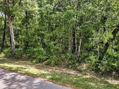 tbd NE 155th Ct, Williston, FL 32696 photo 3