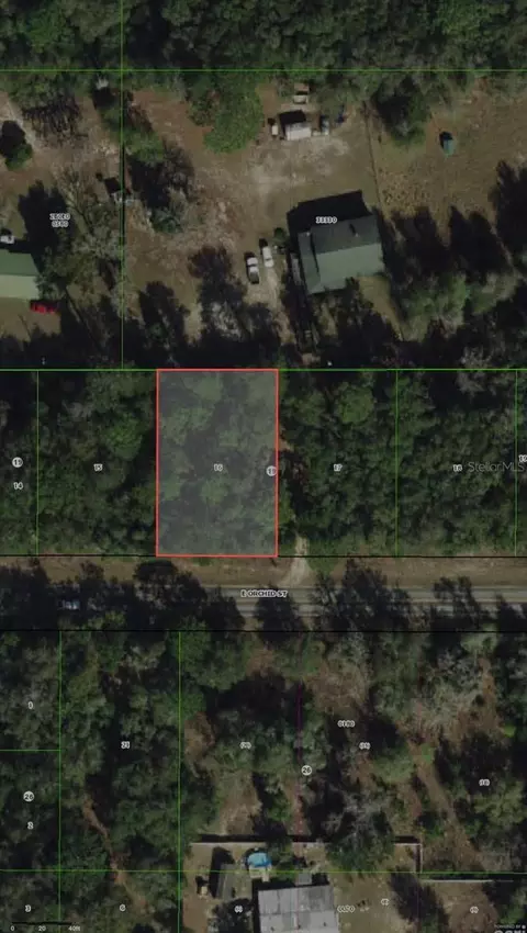 3919 E Orchid St, Hernando, FL 34442 photo 7