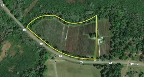 9333 E Bushnell Rd, Floral City, FL 34436