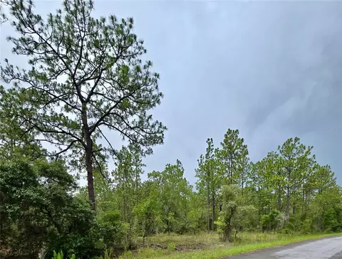 0 NW Water Oak Ave, Dunnellon, FL 34431