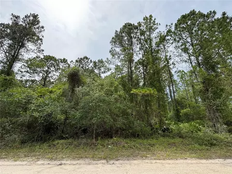 113 Meadow Dr, Georgetown, FL 32139 photo 1