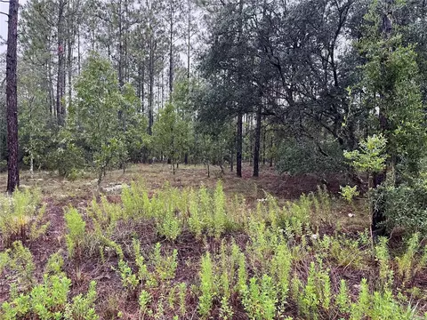 lot12 SE 136th Ave, Dunnellon, FL 34431