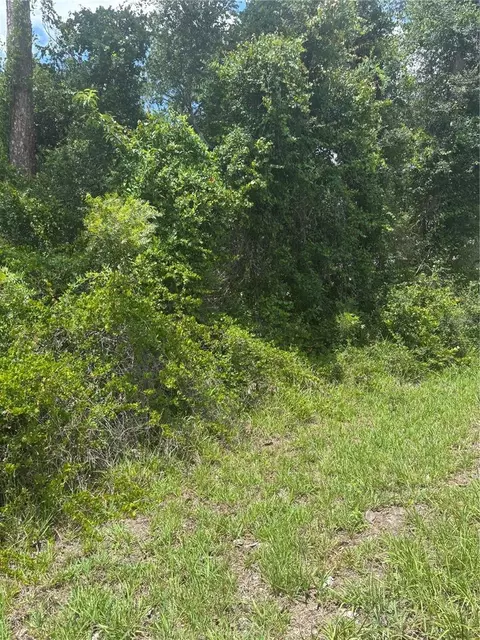 00 SE 186th Ct, Ocklawaha, FL 32179