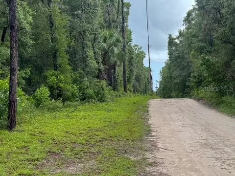 tbd NW 97 Ct, Chiefland, FL 32626