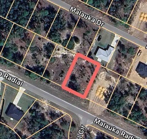 0 Malauka Radl #6, Ocklawaha, FL 32179