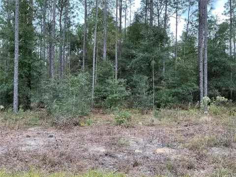 SW 29th Street, Ocala, FL 34481