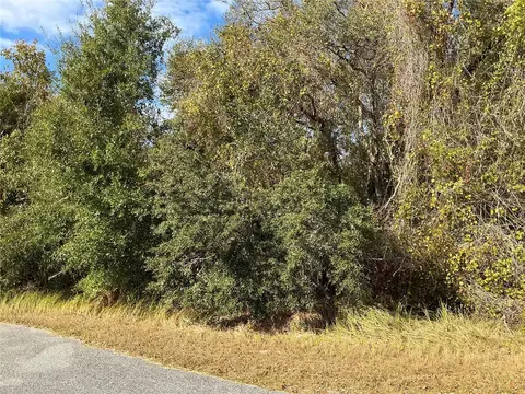 Spruce Terrace, Ocala, FL 34472