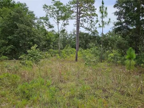 919 NE 148th Ct, Williston, FL 32696