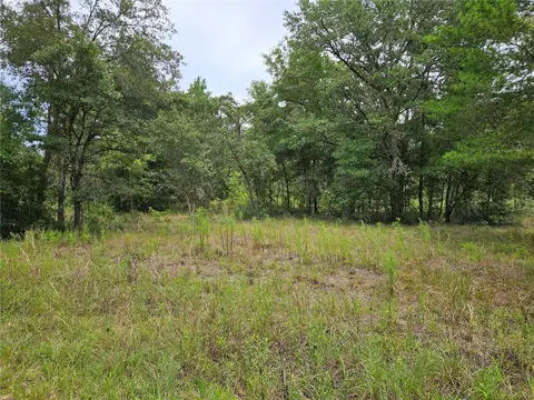 921 NE 148th Ct, Williston, FL 32696