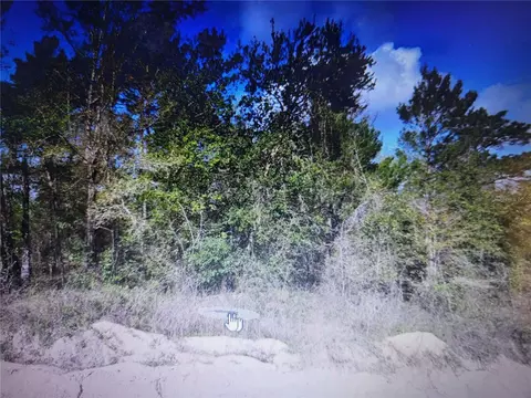 Grey, Interlachen, FL 32148