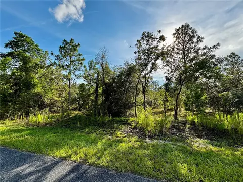 lot24 SE 136 Ter, Dunnellon, FL 34431