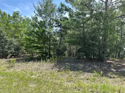 6202 N Mariner Ter, Citrus Springs, FL 34433
