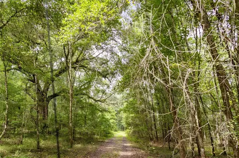 8530 NE 160th Ave, Williston, FL 32696 photo 53