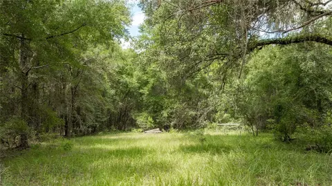 8530 NE 160th Ave, Williston, FL 32696 photo 64