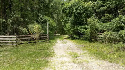 8530 NE 160th Ave, Williston, FL 32696 photo 2