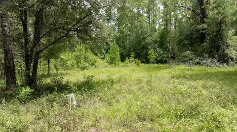 8530 NE 160th Ave, Williston, FL 32696 photo 62