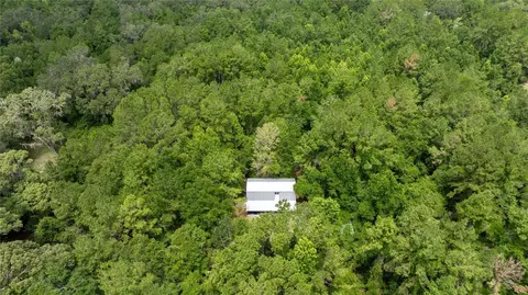 8530 NE 160th Ave, Williston, FL 32696 photo 60