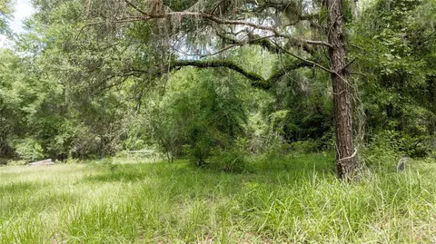 8530 NE 160th Ave, Williston, FL 32696 photo 63
