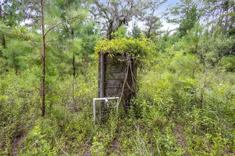 8530 NE 160th Ave, Williston, FL 32696 photo 46