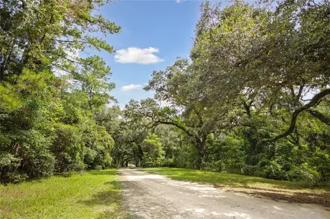8530 NE 160th Ave, Williston, FL 32696 photo 52