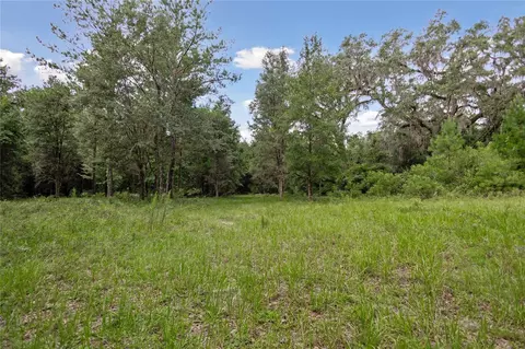 8530 NE 160th Ave, Williston, FL 32696 photo 38