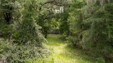 8530 NE 160th Ave, Williston, FL 32696 photo 61