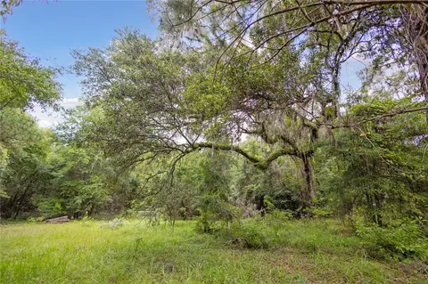 8530 NE 160th Ave, Williston, FL 32696 photo 39