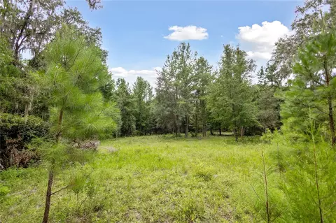 8530 NE 160th Ave, Williston, FL 32696 photo 47