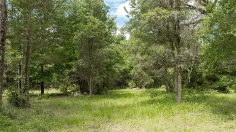 8530 NE 160th Ave, Williston, FL 32696 photo 65