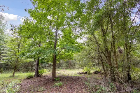 8530 NE 160th Ave, Williston, FL 32696 photo 45