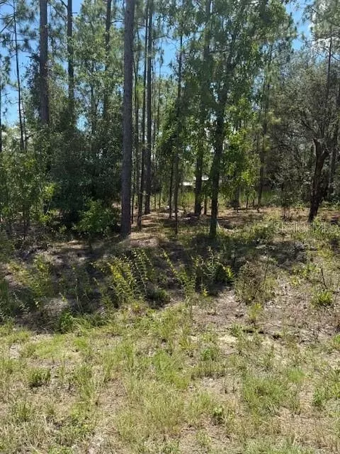 tbd Oak Lane Cir, Ocala, FL 34472