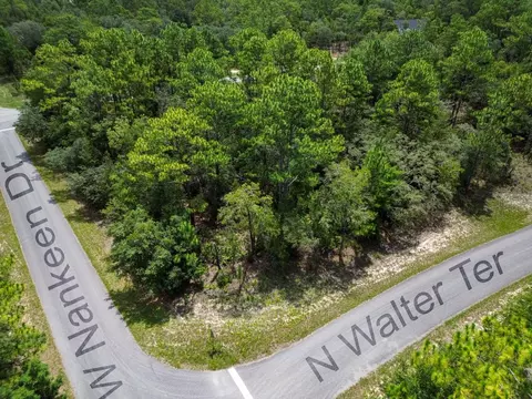 6549 N Walter Ter, Dunnellon, FL 34434