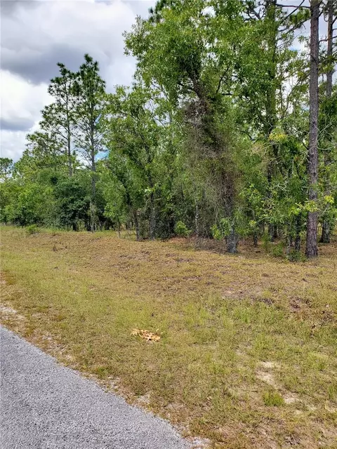 10715 N Academy Dr, Citrus Springs, FL 34434
