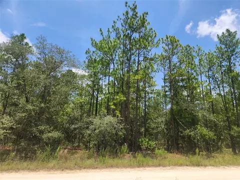 SW 76 Lane, Dunnellon, FL 34432
