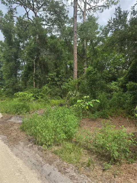 1650 SE 178th Ln, Summerfield, FL 34491