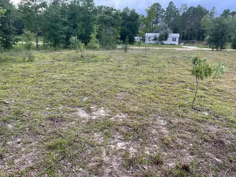 NE 135th Court, Williston, FL 32696