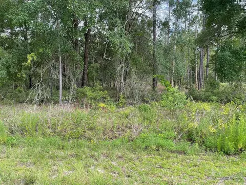 lot3 NW Falcon Ave, Dunnellon, FL 34431
