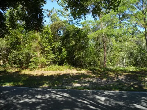 119 Oak Village Blvd, Homosassa, FL 34446