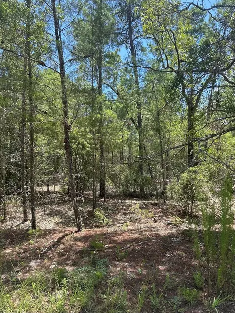 121 Pear St, Welaka, FL 32193