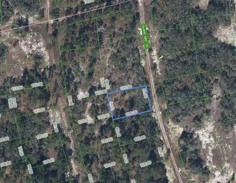 218 Island Mist Dr, Lake Placid, FL 33852