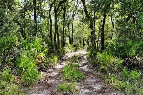 0000 SW County Road 347, Chiefland, FL 32626