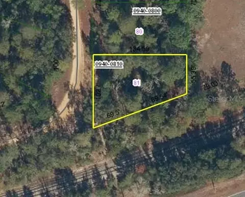 100 Connie Ave, Interlachen, FL 32148