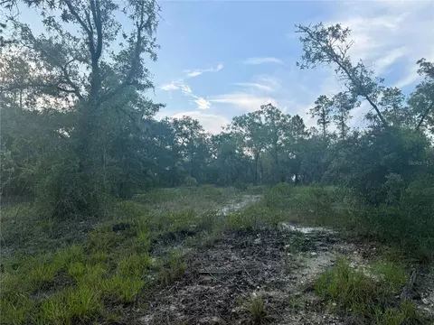 00 SW Barnacle Dr, Dunnellon, FL 34431