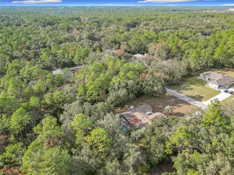 View/Area - 1276 W Pearson St, Hernando, FL 34442 photo 10 of 20