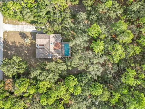 View/Area - 1276 W Pearson St, Hernando, FL 34442 photo 6 of 20