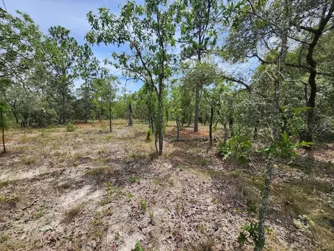 lot14 SW Indian Hill Dr, Dunnellon, FL 34431