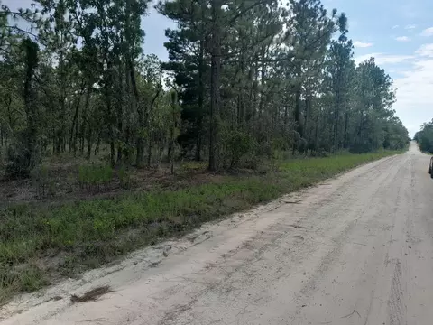 tbd SE 4th St, Williston, FL 32696