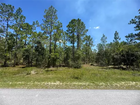 SE 105th Lane, Dunnellon, FL 34431