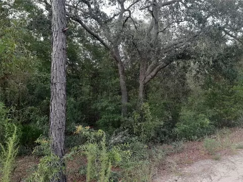 tbd NE 87th Pl, Bronson, FL 32621